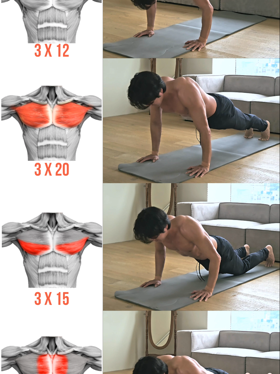 Pushup Chest Workout | 푸쉬업 가슴 운동   #chest #pushups #beginner #calisthenics 
