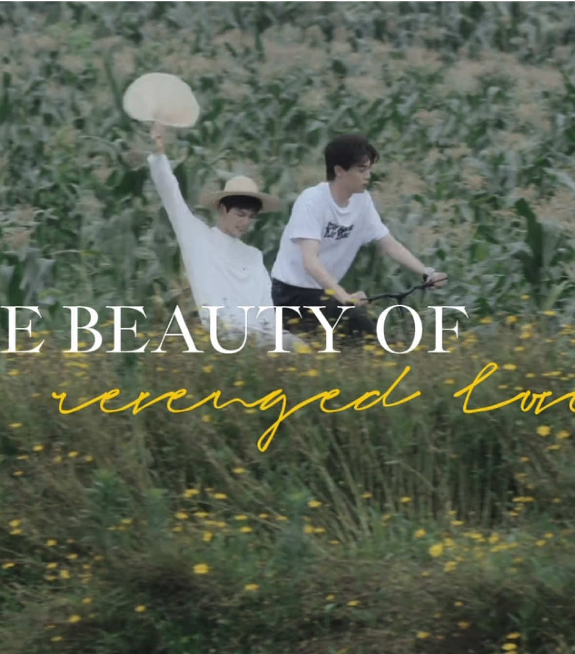 I WILL MISS THEM SO FREAKING MUCH #revengedlove #revengedlovedit  #wusuowei #chicheng #tianxuning #ziyu #bl #viral #viralvideo #tiktok #edit #fyp #foryou #foryoupage #bledit 