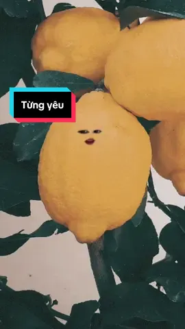 Từng yêu nè #iuchuot