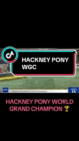 World Grand Champion Heartland Road Show! #wchs #hackneypony #horse #richfieldvideo #horseshow #worldgrandchampion #louisville #kentucky #kentuckystatefair #fyp #rvp 