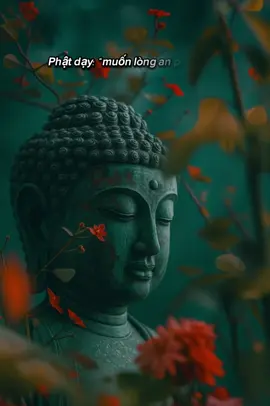 “Buông bỏ không phải là mất… Mà là tự giải thoát cho chính mình.” #buongbo #phatphapnhiemmau #tutap #nhacthien #chualanh 