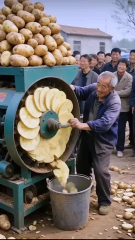 Traditional way of slicing potatoes in China. #satisfying #farm #farming #nature 