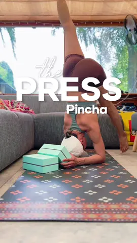 Single Legged Pincha Press Drill Save 📌  #pinchamayurasana #presspincha #pressforearmstand 