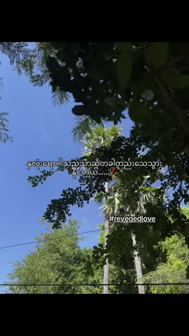 င်တစိနာရီလောက်ဘာမှမပြောနိုင်တဲ့ထိတိတ်ဆိပ်မိသွားတယ် #revegedlove #tianxuning #moesatt #fypシ゚viral #fypシ゚viral 