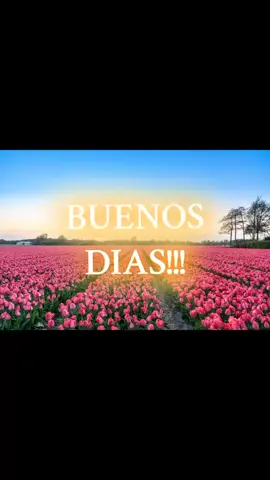 BUENOS DIA✨ NOTA: que hoy tu día sea excelentemente bien con muchas bendiciones.. fe#buenosdias #frasesdemotivacion #frasesparadedicar #feliz #frasesdeldia #frasesmotivadoras 
