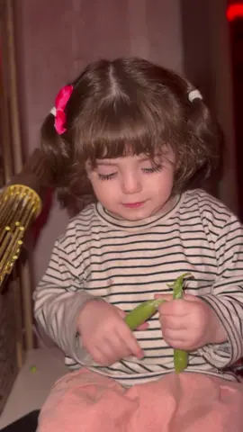 #sukaer_barghothe #sonay_barghothe #سكر_برغوثي #سني_برغوثي #ayla_barghothe #sonay_barghothe 