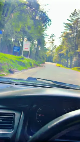Kashmir 