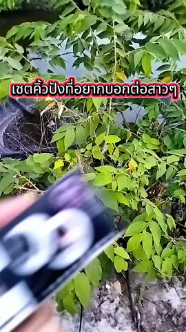 #คิ้วปัง #เจลเขียนคิ้ว #รีวิวบิวตี้ 