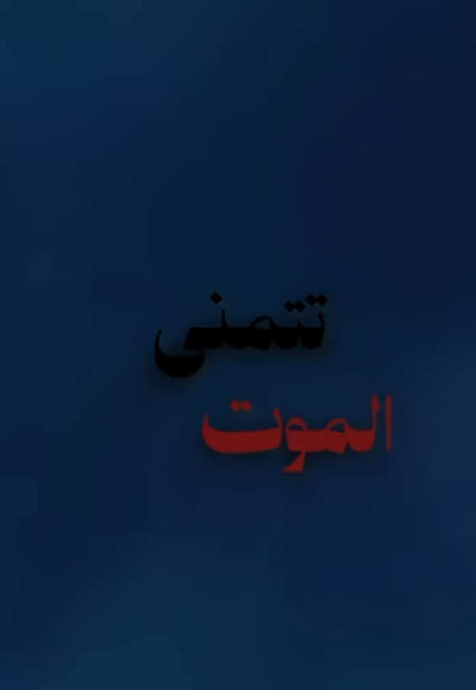 المتحدث:فارس