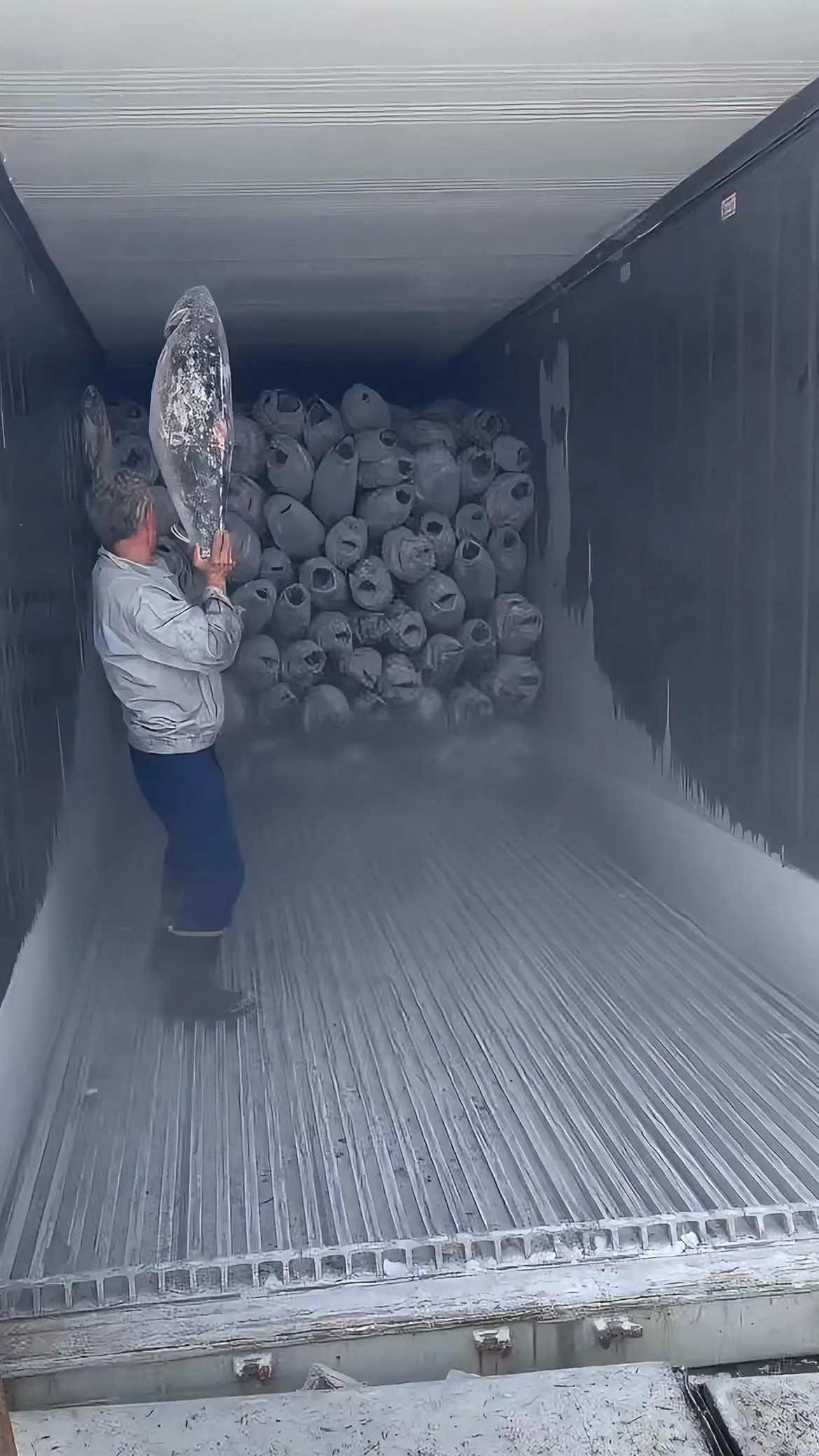 Frozen everything #satisfying #ice #asmr #oddlysatisfying #fyp 