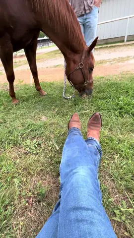 A day in life ft horseback riding lessons!🐴🌾#horsesoftiktok #ridinglesson #dayinthelife 