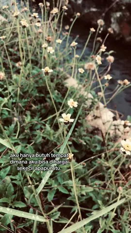 #storytime 