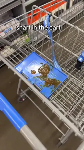 I’m not dealing with dirty disgusting shopping carts from the grocery store anymore. Now I bring my own it’s lightweight. It’s collapsible. I don’t need to bring bags or boxes home from the store because I can just transport it in my cart boxes. This thing is the best I’ll link it at the bottom.  #shopping #shoppingcart #costco #aldi #grocery #groceryshopping #grocerycart #costcohaul #costcodeals 