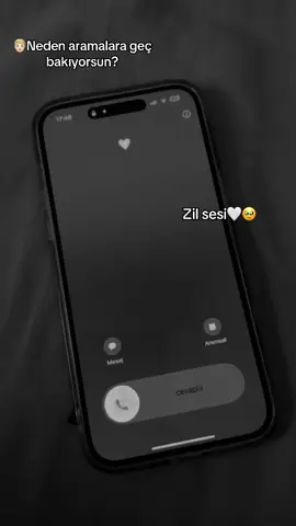 #zilsesi #viralvideo #sevgilimm 