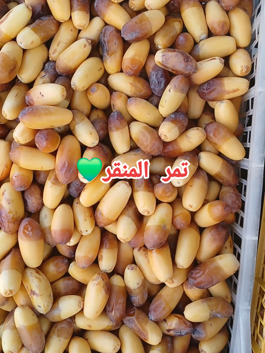 #pourtoii #pourtoipage #إكسبلورر #اكسبلوررررررر #أولادجلال 