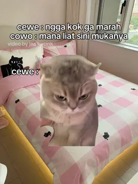 kadang pelaku, memang pelaku #memekucing #memeindonesia #memestiktok #kucingtiktok #povs #relate #cerpen #fyppppppppppppppppppppppp #viraltiktok #4u #xybca #foryoupage❤️❤️ 