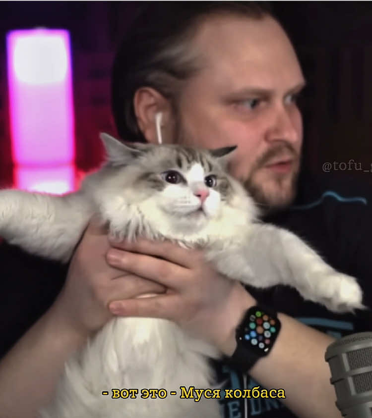 (=^･ｪ･^=) х2 в кадре #куплинов #kuplinovplay #куплиновплей #kuplinovedit #tofu_guru  