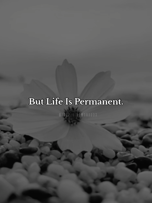 Life Is Full Of Problems🥺 #motivation #inspiration  #nelsonmandela #nelsonspeech #lifelesson #dailymotivation #shorts #speeches #UK #USA #inspiringwords33 
