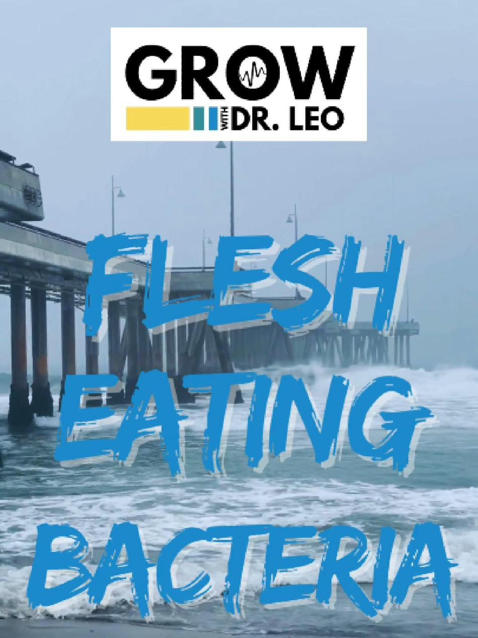 🦠Flesh Eating Bacteria🦠 🌊 The deadliest things at the beach this summer… you can’t even see. This summer, a powerful strain of flesh-eating bacteria — Vibrio vulnificus — has already infected dozens, killing 8 and hospitalizing 32 in Gulf Coast states. Even a tiny cut can be an open door for it to enter your body. And it’s not the only invisible danger lurking in warm waters — the brain-eating amoeba Naegleria fowleri thrives there too. Protect yourself: ✔️ Keep wounds out of warm coastal or brackish waters ✔️ Fully cook shellfish before eating ✔️ Avoid swimming in warm freshwater during peak summer heat The water may look calm… but danger can be just below the surface. 📲 Watch the full breakdown on my @GrowwithDrLeo IG page where I discuss Naeglera fowleri, the brain-eating amoeba in more detail. #physician #doctor #wellness #health #growwithdrleo #bacteria 