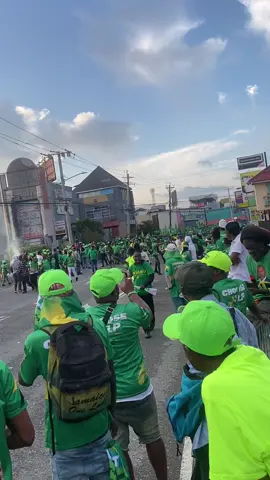 💚💚💚💚💚💚💚 if a nuh green a nuh nothing 1 Jamaica labour party #fypシ゚ #trendingvideo #jlp #fyppppppppppppppppppppppp 