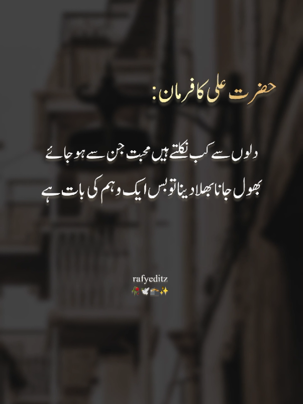 bilkul🫶🫀🫠🤲 #1milionaudition #easthetic #foryou #poetrystatus #foryoupage #fypp #dopalpoetry @Umatiwrites1 @TikTok 