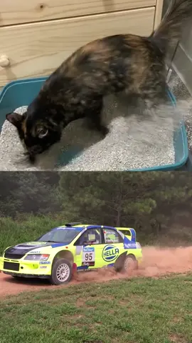 When your cat comes with launch control 🫣 #catvideos #catsdaily #rallycars #rallyracing #fastnfurri 