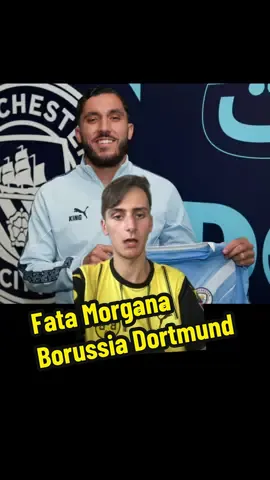 Was macht Kehl eigentlich noch mal hauptberuflich? Dortmund-Fans anwesend? 😴🤣 ##eligant##foryou##fyp##funny##fussball##borussiadortmund##fatamorgana##ninachuba