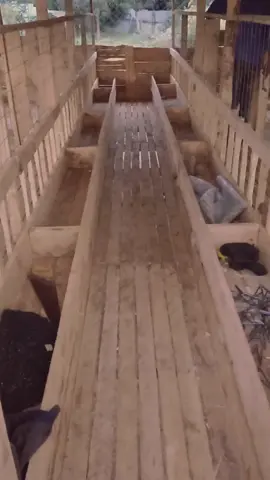 Feeding troughs... Dm for quality works by a smart team..  #dorpersheepkenya #goatshedprice #goatsfarminginkenya #gallagoatfarming #goatfarminginuganda #hampshiresheep #sheepshedkenya #bluehammerconstructionke #@BLUE HAMMER 