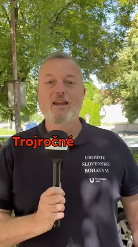 Trojročné daňové prázdniny pre novomanželov máme v našom Pláne pre 7 bohatých rokov.  #milankrajniak #krestanskaunia #planpre7bohatychrokov #slovensko 