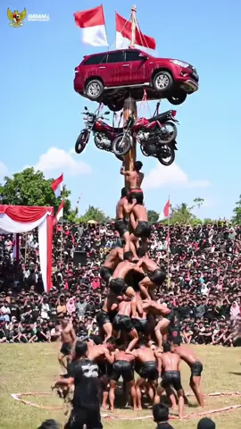 panjat pinang viral!! #merahputih #lomba17agustus #panjatpinang 