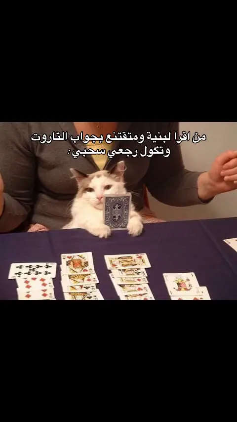 #تاروت #خريطة_فلكية #fyp #tarot #explore 