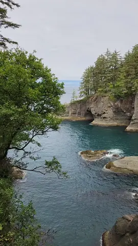 Cape Flattery is the northwesternmost point of the contiguous United States. It was a challenging hike to get there, but worth it! #capeflatter #washington #pnw #pacificocean #hike #travel