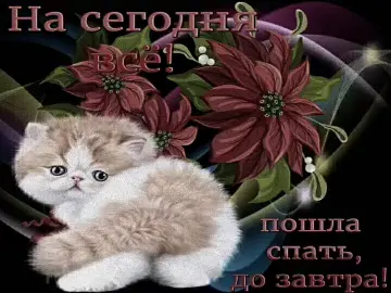 доброй ночи сладких снов #щп #darkness #cutekitten 