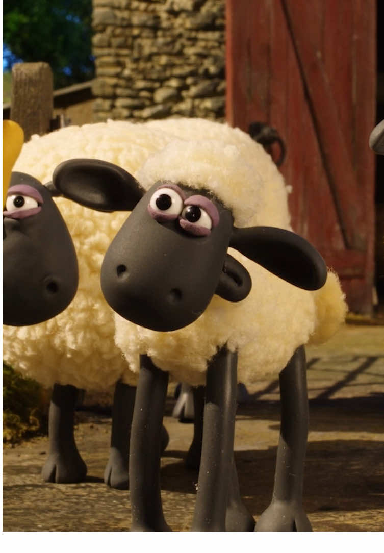 “I chose to stay silent” The face I stayed silent with #shaunthesheep 