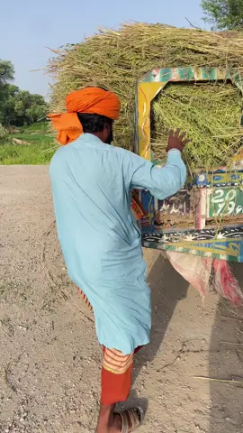 Part 1 #naagjogi🐍 #wildliferescue #foryou #viral #viralvideos #trending 