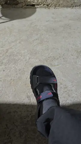 😂😂😂