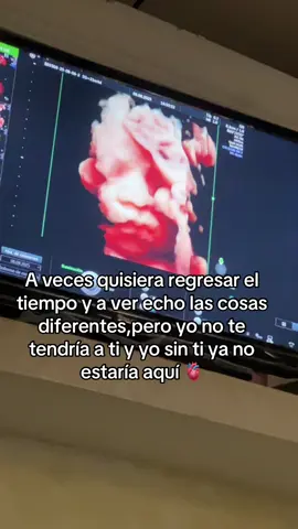 #mivida #bebeencamino #embarazo #girlmom #lyricsvideo 