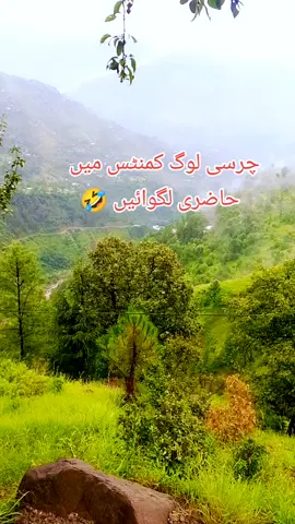 #viral_video #plzunderreviewmyvideo🥺 #creatorsearchinsights #shatandwithkashmir #foryoupage #unfreezemyacount 