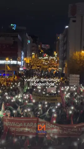 filistin’in özgür sabahına özlemle… bir sabah gelecek kardan aydınlık.  - gazze’ye insani koridor.  #filistin #filistiniçin #umutol #filistineışıkol #freepalestine #palestine #dijitalmanzara  #anfidap #filistininyanındayız #marchtogaza