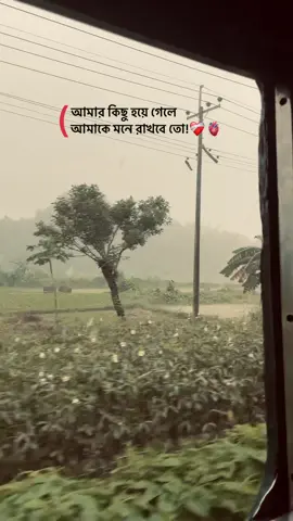 আমার হয়েগেলে আদও কি তুমি আমাকে মনে রাখবে... 🥺😫 #trickshot #trending #foryoupage #creatorsearchinsights 