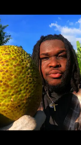 The Next Extinct Fruit? 🌱