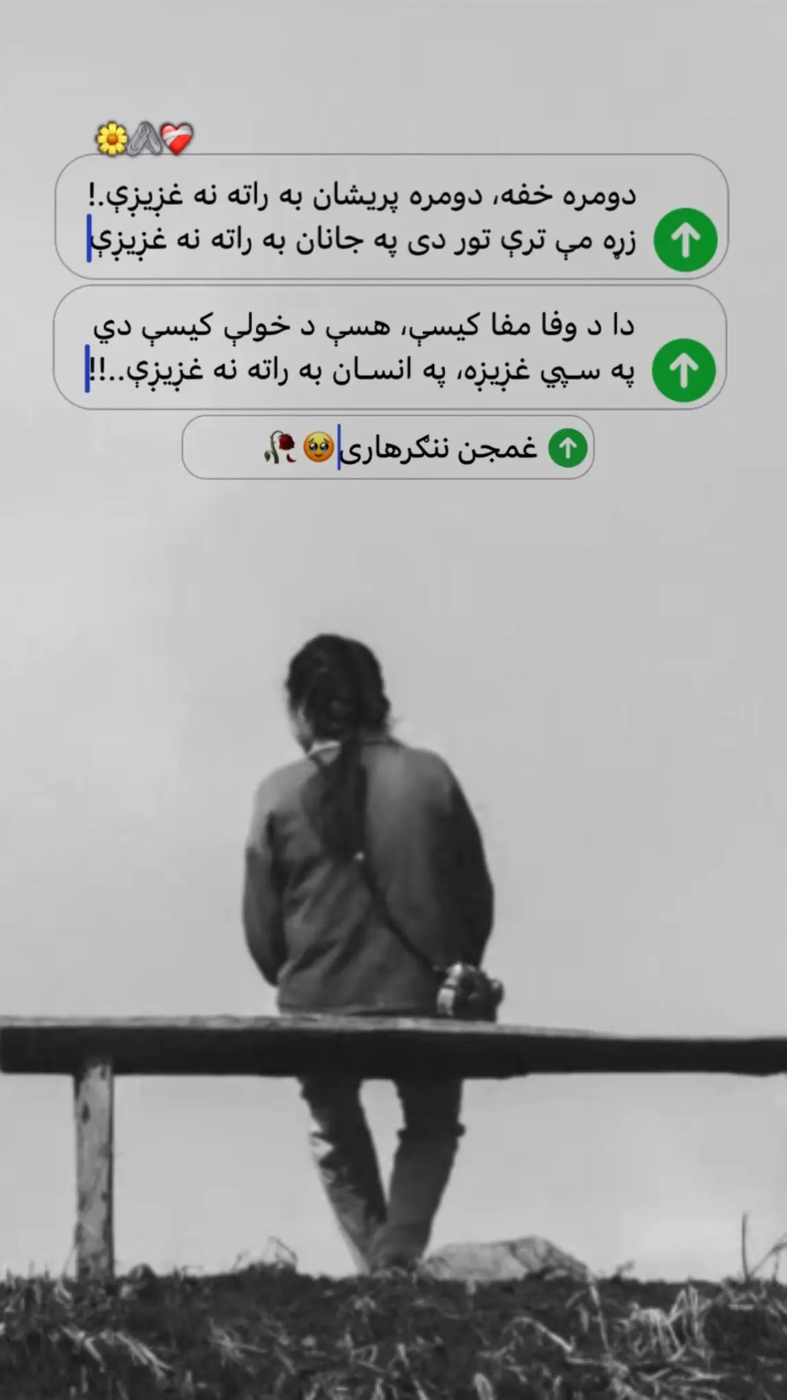 #ملتیا_مې_وکړئ📚  #Ghamjun_Nangarhari🥹🥀  #tiktokafghanistan🇦🇫  #support_me 