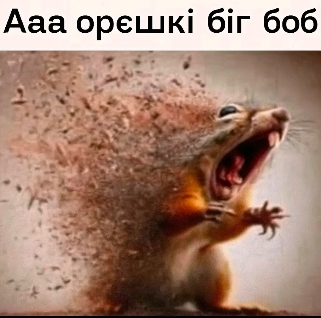 арешки бигбоб #орешки #биг #боб #dangerlyoha 