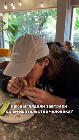 #еда #дикийогурец #завтрак 