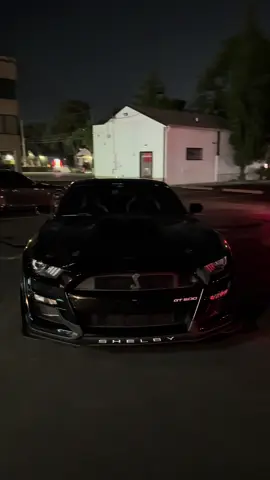 dw yall it’s just a car #fyp #carsoftiktok #mustang #carcommunity #viral #gt500 #shelby #trending 