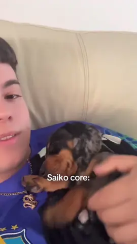 #saiko #core #saikoneta @SAIKO @Saikoneta 