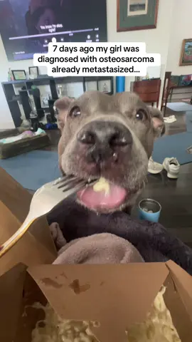 Watch til the end for the cutest lil snorts you ever did hear 😭