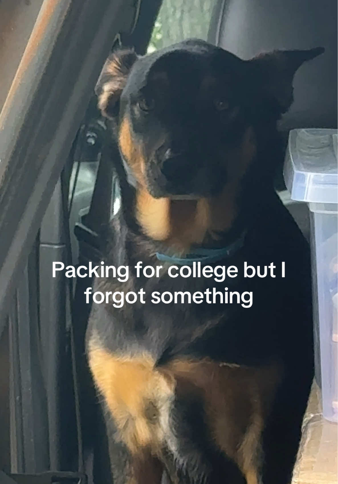 She deserves an Oscar for her acting in this! #olebrandselect #packing #college #moveinday #auburnuniversity 