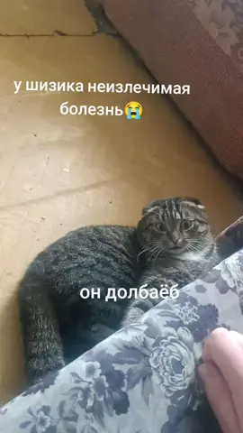#непослушка #tiktok #правильноепитание #любовь #тренды #любовь #рекомендации #лучшее #хочувтоп #рек #magic #новогодняяночь #магия #топ #тренд #пара #семья#tik_tok #юмор #зож #foryoupage #втоп 