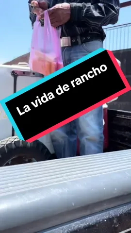 #fyp #lavida #lavidaderancho #lomasbonito 